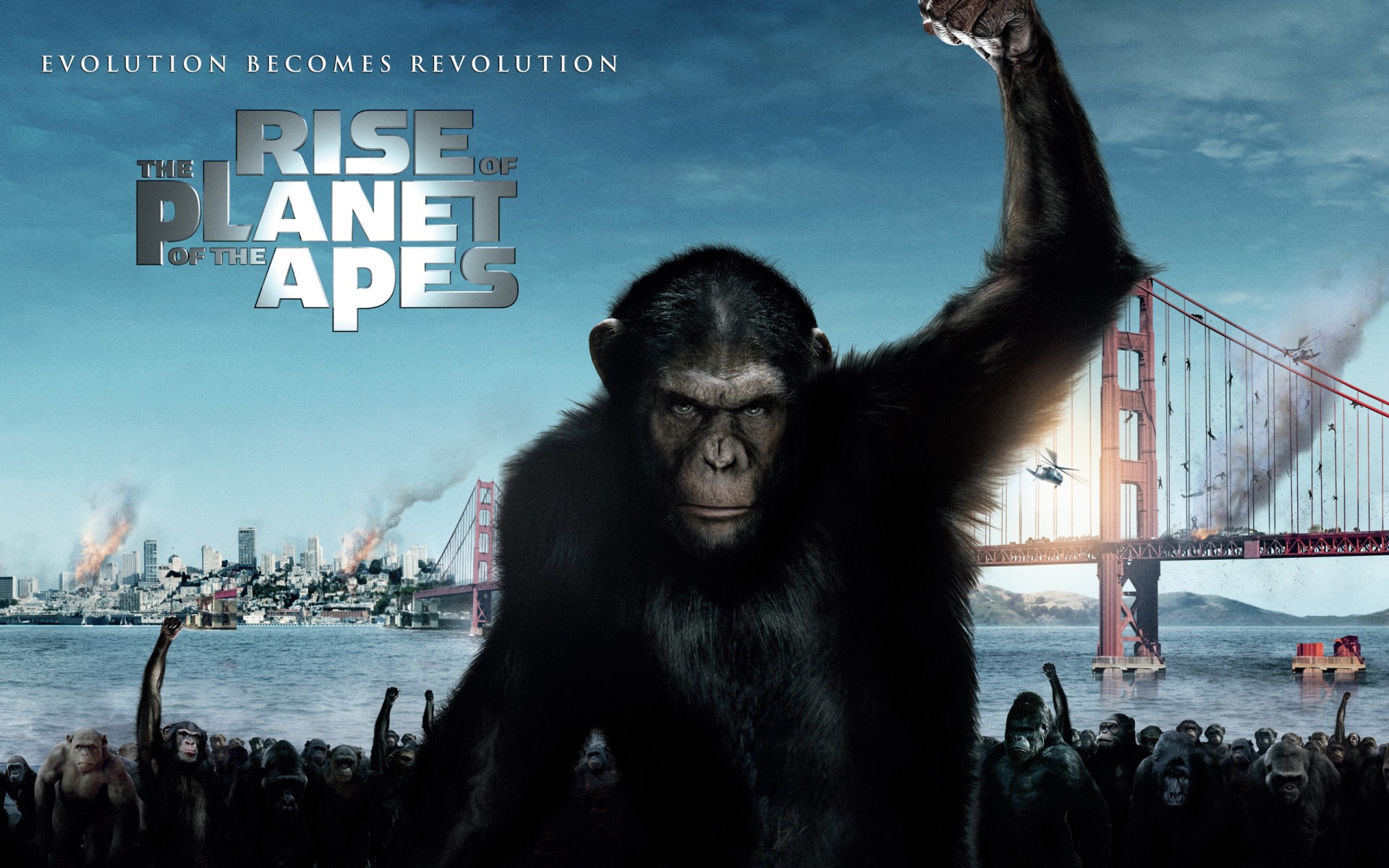 plent of the apes 2011 movie free daunlod